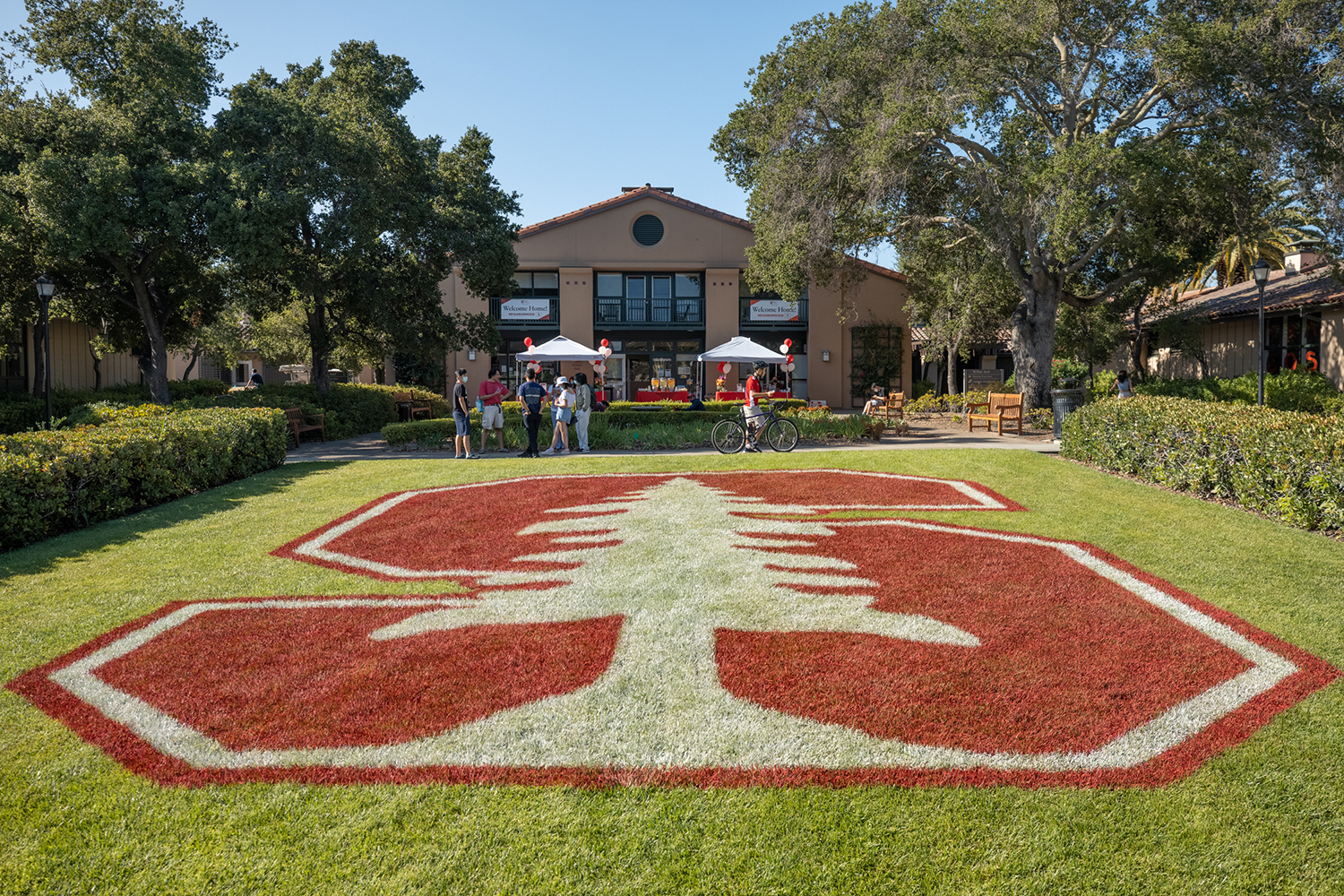 news.stanford.edu